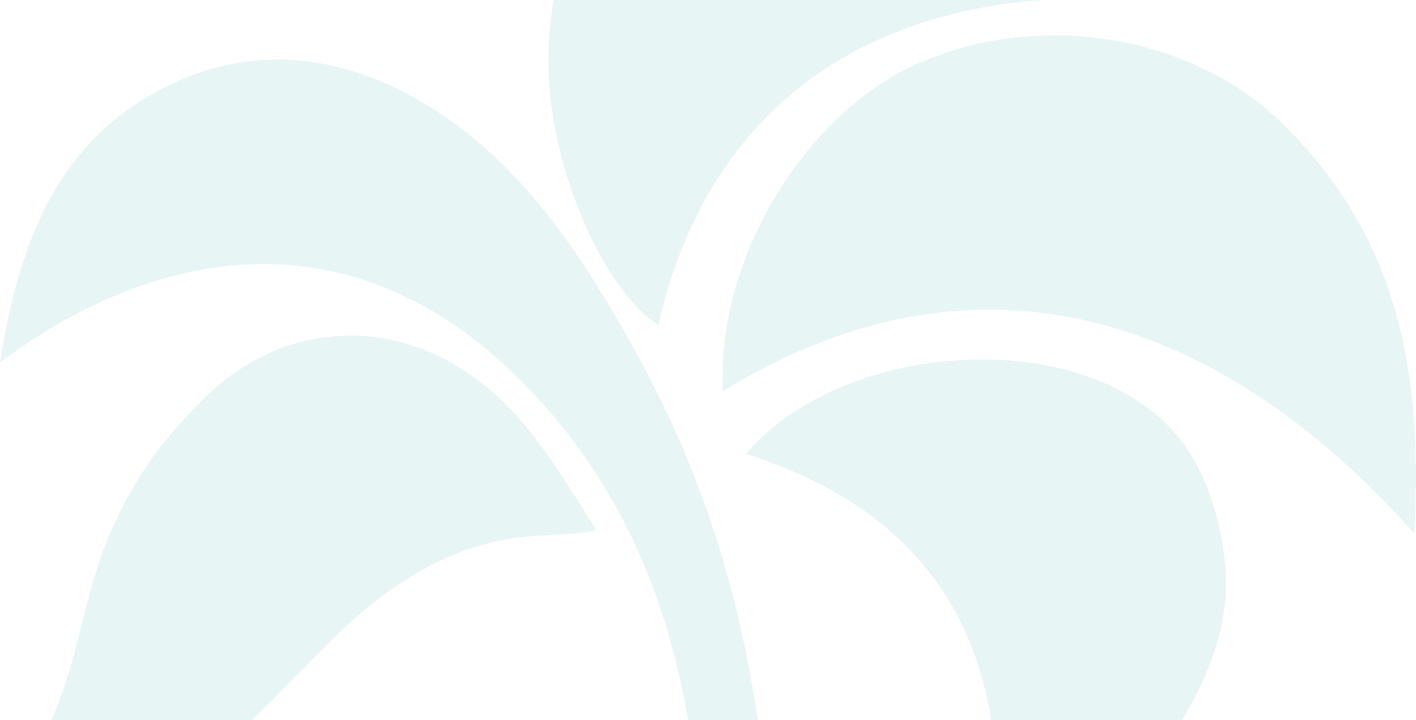 palm tree